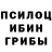 Галлюциногенные грибы Psilocybine cubensis Simon Nyoma